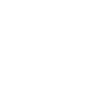 Logo partner | I Segreti dello Stile